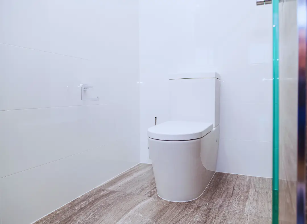 Remplacement de wc Boulay-Moselle